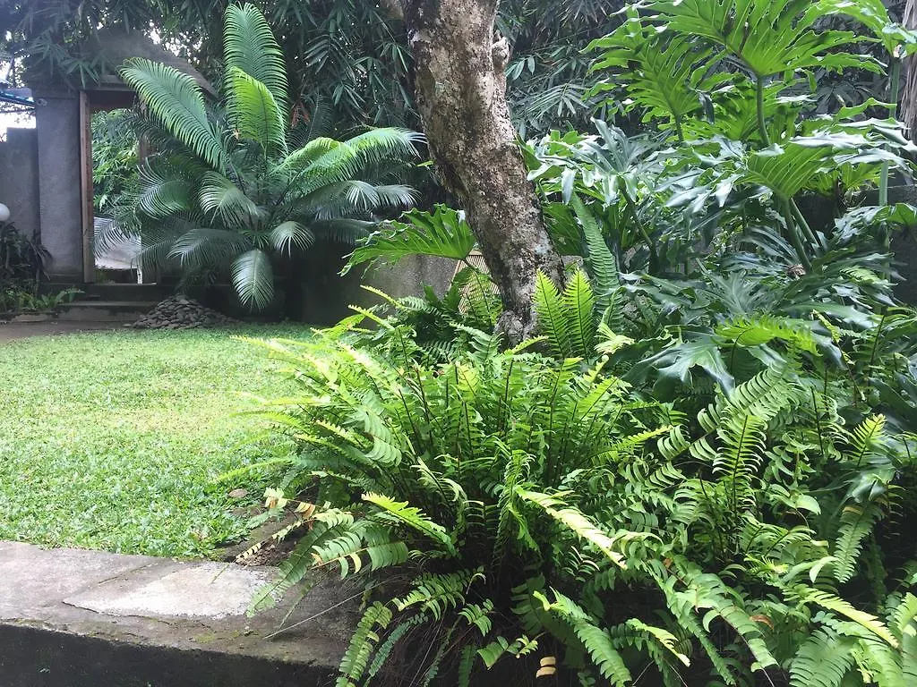 Kiyan Teges Ubud Hotel Guest house Ubud (Bali)